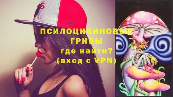 spice Алексеевка