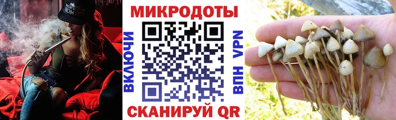 Галлюциногенные грибы MAGIC MUSHROOMS  ОМГ ОМГ сайт  Ясный 