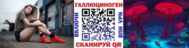 Псилоцибиновые грибы Psilocybine cubensis Ясный